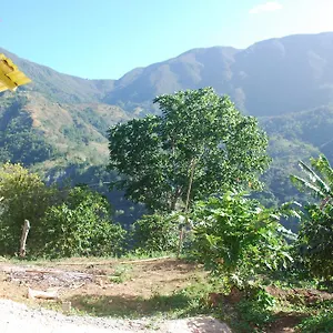 https://jays-guest-house.greaterantilleshotels.net